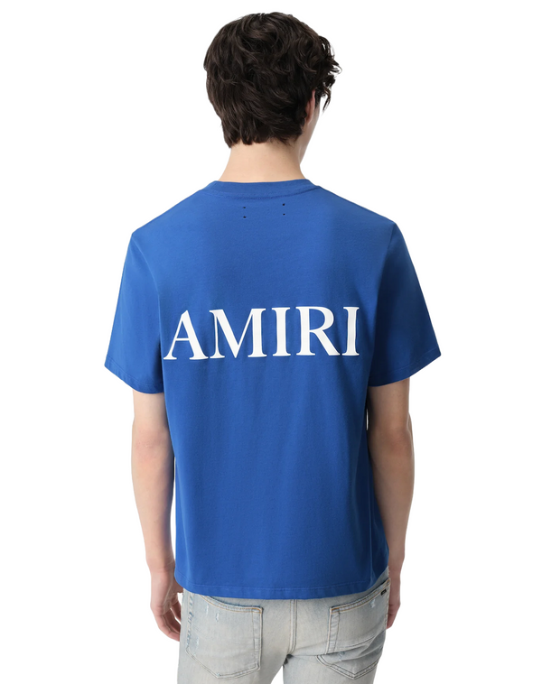 【AMIRI】グラデーションコアロゴTシャツ 希少】AMIRI グラデーション コア ロゴ Tシャツ 半袖 2色 黒白